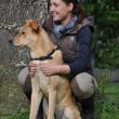 Beratung & Coaching - Business Coaching - Hypnose Coaching und Naturheilkunde 16 Nadine Sodemann